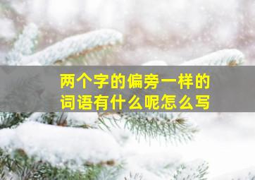 两个字的偏旁一样的词语有什么呢怎么写