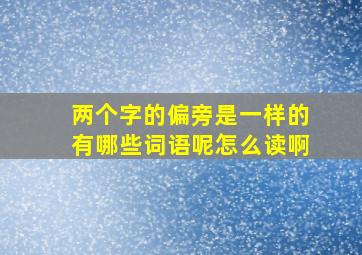 两个字的偏旁是一样的有哪些词语呢怎么读啊