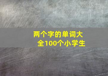 两个字的单词大全100个小学生