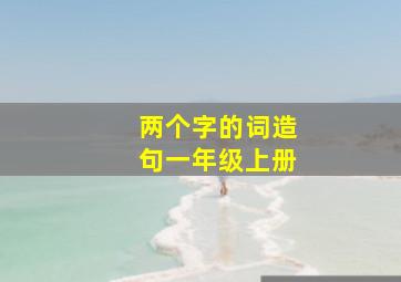 两个字的词造句一年级上册