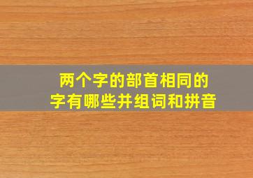 两个字的部首相同的字有哪些并组词和拼音