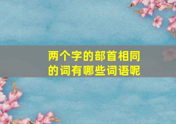 两个字的部首相同的词有哪些词语呢