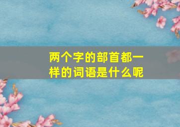 两个字的部首都一样的词语是什么呢