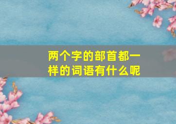 两个字的部首都一样的词语有什么呢