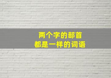 两个字的部首都是一样的词语