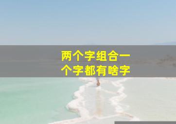 两个字组合一个字都有啥字