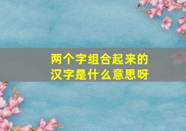 两个字组合起来的汉字是什么意思呀