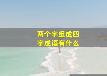 两个字组成四字成语有什么