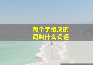 两个字组成的词叫什么词语