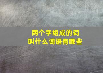 两个字组成的词叫什么词语有哪些