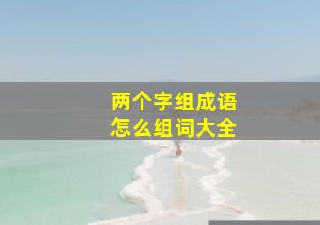 两个字组成语怎么组词大全