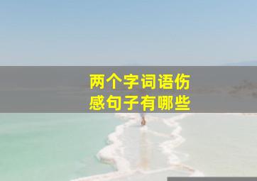 两个字词语伤感句子有哪些