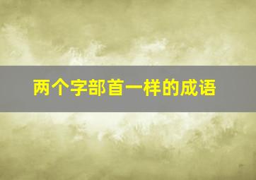 两个字部首一样的成语