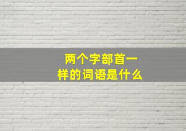 两个字部首一样的词语是什么