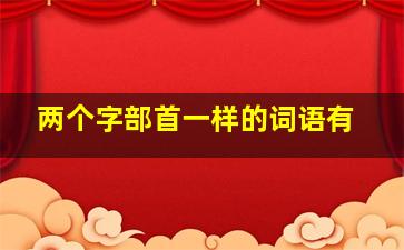 两个字部首一样的词语有