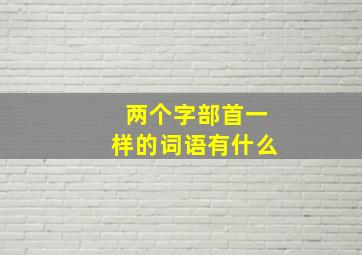 两个字部首一样的词语有什么