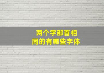 两个字部首相同的有哪些字体