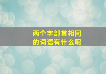 两个字部首相同的词语有什么呢