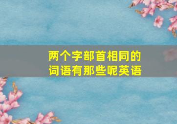 两个字部首相同的词语有那些呢英语