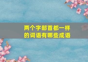 两个字部首都一样的词语有哪些成语