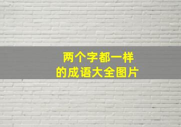 两个字都一样的成语大全图片