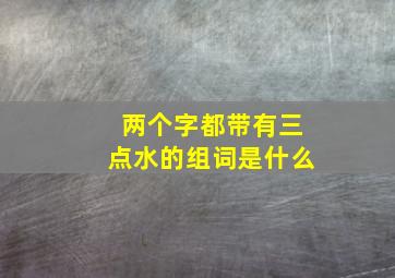 两个字都带有三点水的组词是什么