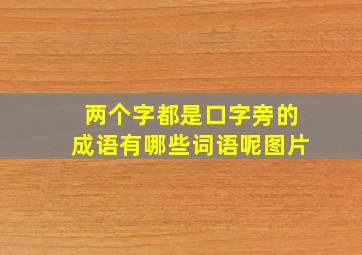 两个字都是口字旁的成语有哪些词语呢图片