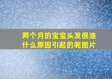 两个月的宝宝头发很油什么原因引起的呢图片