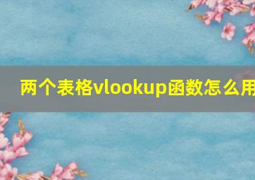 两个表格vlookup函数怎么用