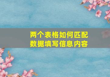 两个表格如何匹配数据填写信息内容