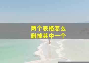 两个表格怎么删掉其中一个