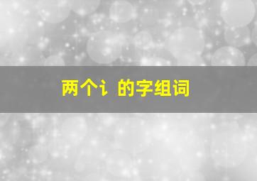 两个讠的字组词