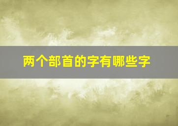 两个部首的字有哪些字