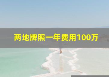 两地牌照一年费用100万