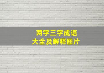 两字三字成语大全及解释图片