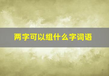 两字可以组什么字词语