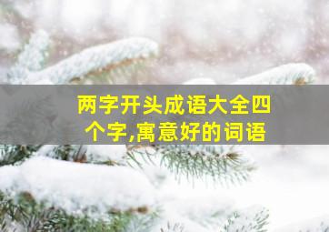 两字开头成语大全四个字,寓意好的词语