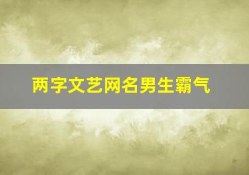 两字文艺网名男生霸气