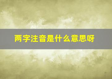 两字注音是什么意思呀