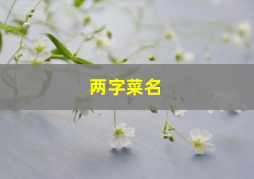 两字菜名