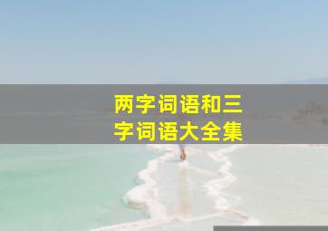 两字词语和三字词语大全集