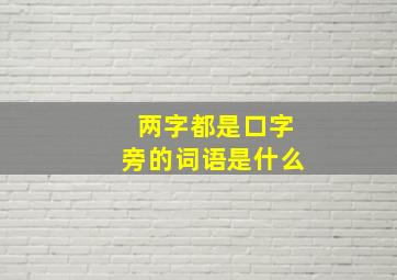 两字都是口字旁的词语是什么