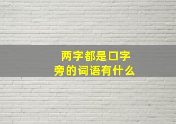 两字都是口字旁的词语有什么