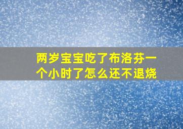 两岁宝宝吃了布洛芬一个小时了怎么还不退烧