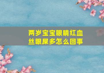 两岁宝宝眼睛红血丝眼屎多怎么回事