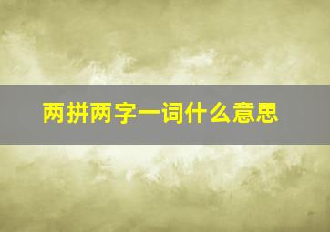 两拼两字一词什么意思