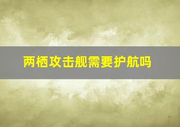 两栖攻击舰需要护航吗