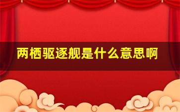 两栖驱逐舰是什么意思啊