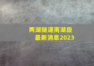 两湖隧道南湖段最新消息2023