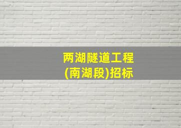 两湖隧道工程(南湖段)招标